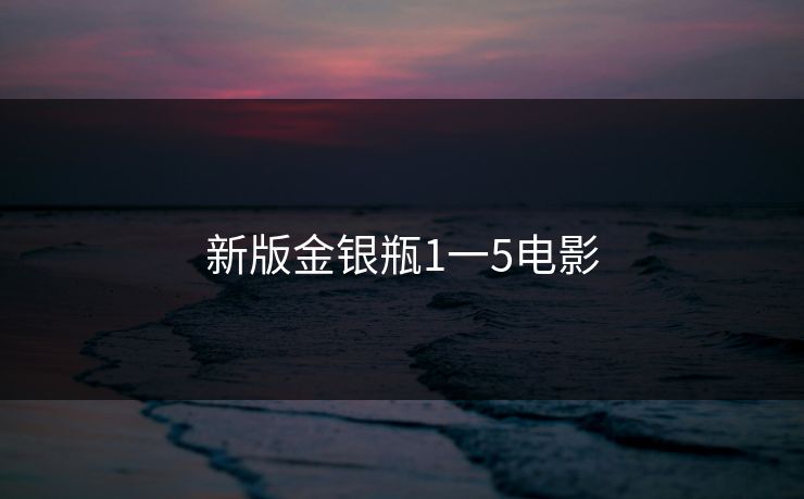 新版金银瓶1一5电影